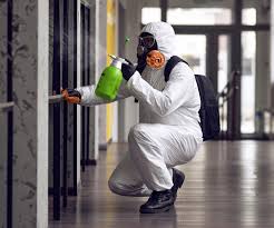 Best Industrial Mold Remediation in Glendale Heights, IL